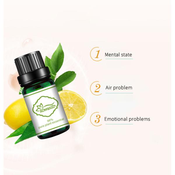 OEM ODM Pure Plant Essential Oil , 10ml Lemon Eucalyptus Essential Oil
