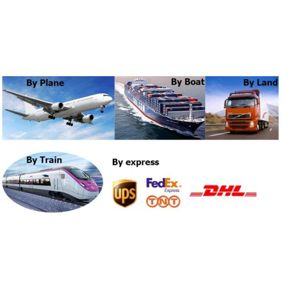 Double Stitched Mickey Park Inflatable Playground Slides