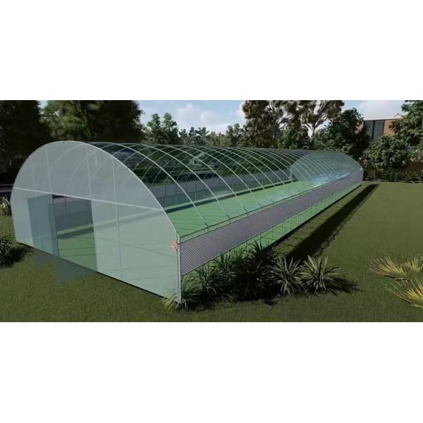 Polytunnel Plastic Tunnel Single Span Agricultural Greenhouse for Customized Request
