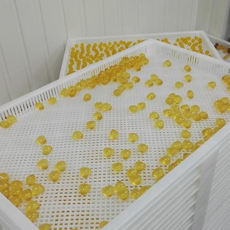 White Food Grade Plastic Drying Trays For Softgel Capsules And Paintball