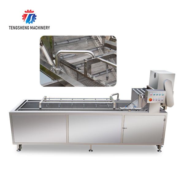 240KG  Fruit and vegetable washing machine automatic cleaning operation line conveyor belt washing machine