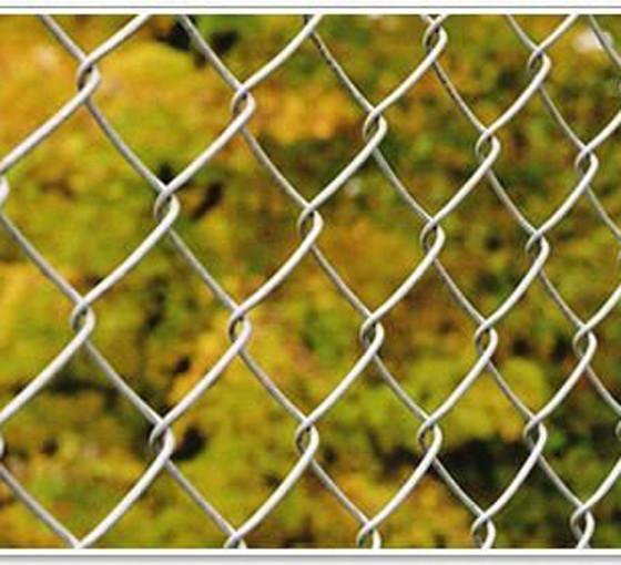 Protection Galvanized Steel Chain Link Fence Multi Sizes / Colors Available