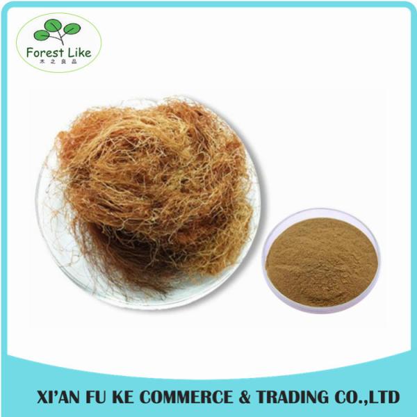 Manufacturer Direct Price Organic Corn Stigma Extract