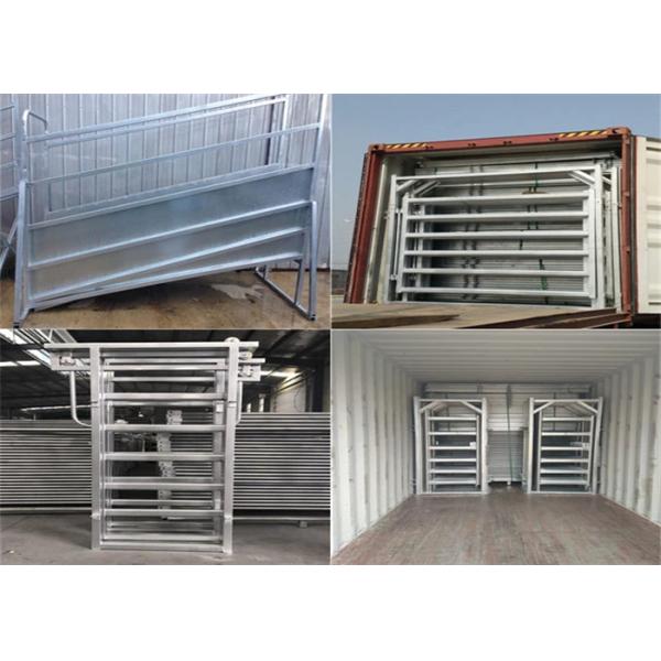 High Durable Cattle Yard Panels / Portable Gate Panels With Galvanized Pipe