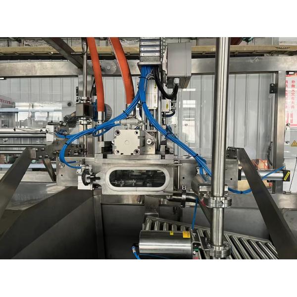 Automatic 1-220L Double Head Aseptic Bag Filling Machine SUS304 for Juice Milk Puree Packaging