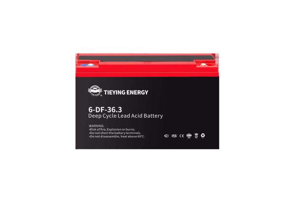36.3Ah 12v batterie au plomb-acide OEM 6-DF-36.3 POUR E-Motorcycle 450 fois