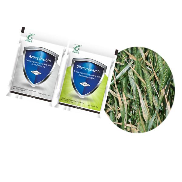 Лечение грибковых заболеваний Контроль рисового взрыва 37% Дифеноконазол 25% Азоксистробин Фунгицид