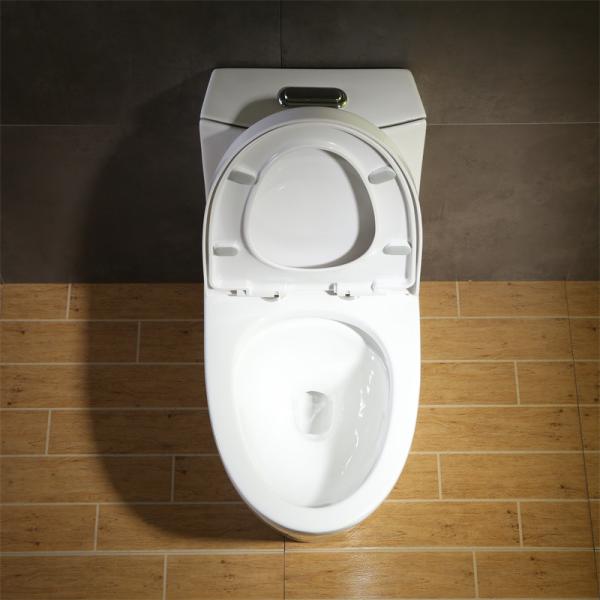 Fully Glazed Trapway Elongated CUPC Toilet For Small Space Slow Down Seat Cover