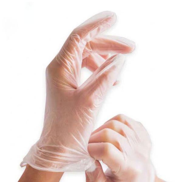 Transparent PVC Disposable Protective Gloves for Housework Kitchen Medical