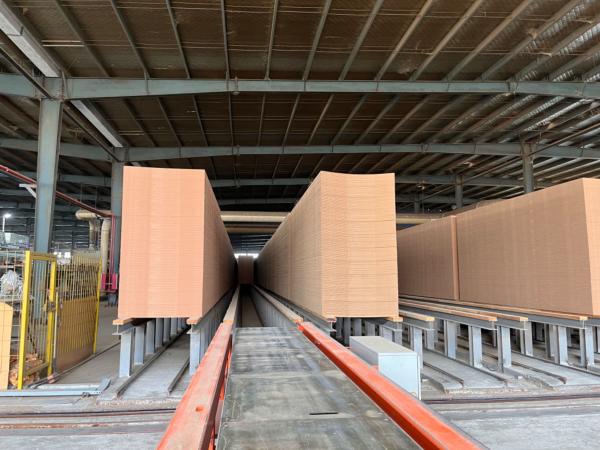 1160*2400mm 28mm Bamboo Plywood Sheets Container Flooring For Repair Container