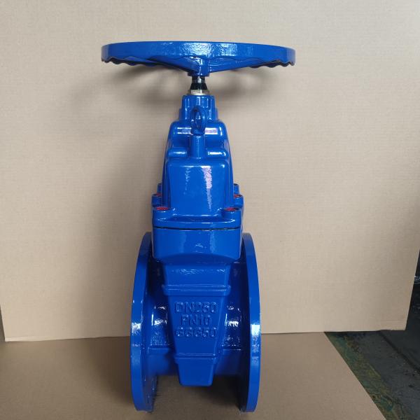 ゲートバルブ DIN3352 F4 2Cr13 トリム付き 鋳鉄耐性座閥