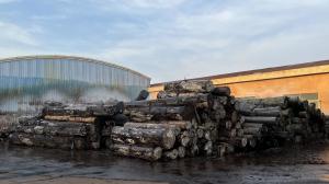 Dongguan Lingfeng Wood Industry Co., Ltd.