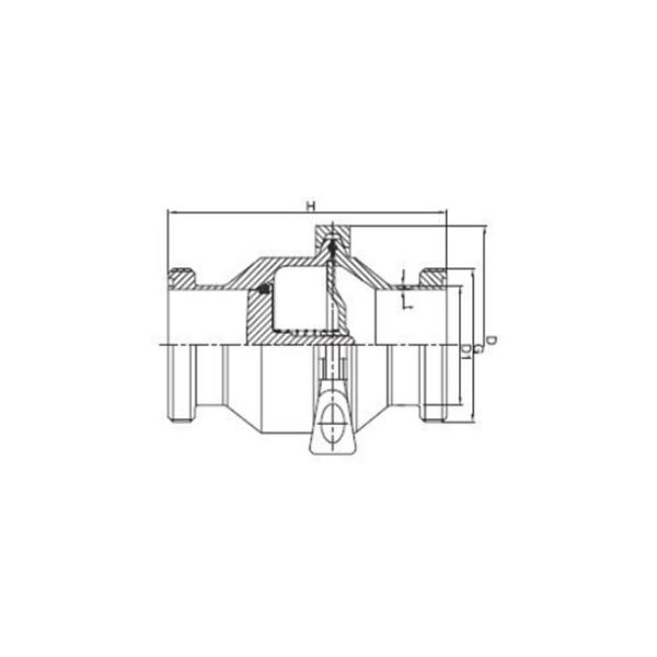 AISI 316L 304 Stainless Steel Sanitary Valves Male / Female Threaded Check Valve