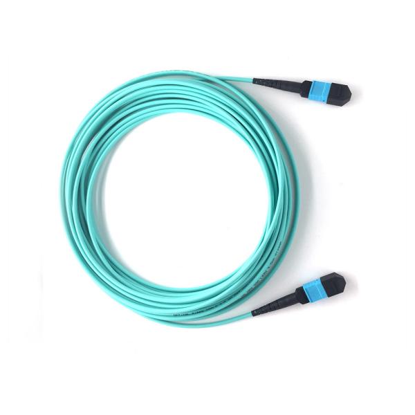 OM1 OM2 OM3 MPO Fiber Optic Cable Fan Out Fiber Cable Assembly