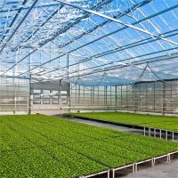 Culture agricole d'usines de serre chaude multi en verre commerciale d'envergure