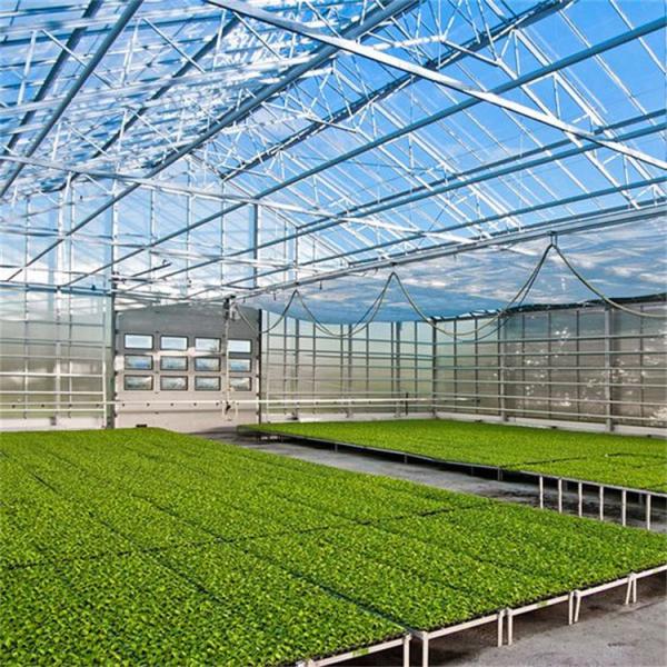 Estufa agrícola/industrial do jardim para vegetais/cogumelos/flores