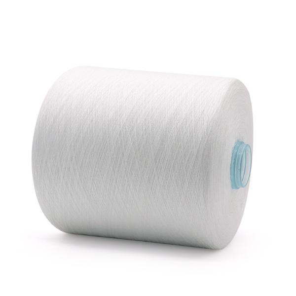 100% Polyester Yarn Free Sample Without Freight And OEM/ODM Support