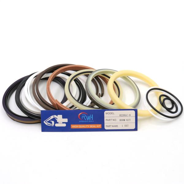 R220LC-9 Hyundai Excavator Seal Kit , PTFE Cylinder Boom Kit