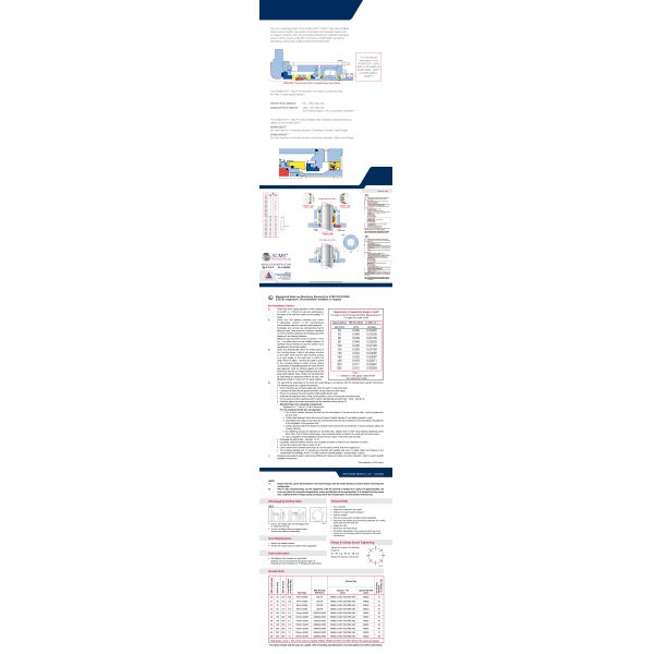 Mixer Agitators Reactor Mechanical Seal FFKM AESSEAL SCMS Aes Seal
