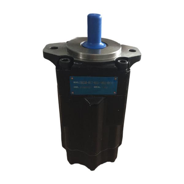 T6CCM Series Hydraulic Vane Pump for Industrial Machinery