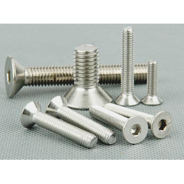 stainless steel bolt/screws