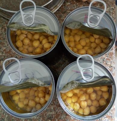 Os grãos-de-bico suaves do gosto enlataram o ingrediente extremamente versátil dos feijões do grão-de-bico