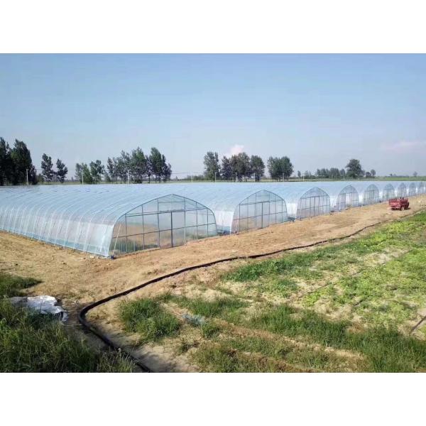 Противоветровая пластиковая пленка теплицы с 90% световой проницаемостью