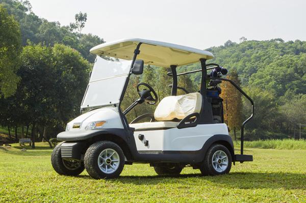 Excar Dual-Seat Electric Golf Cart 48V Lithium Battery