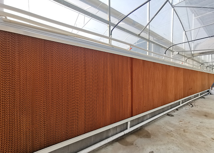 Evaporative Wet Pad & Fan Cooling System For Greenhouse & Poultry House