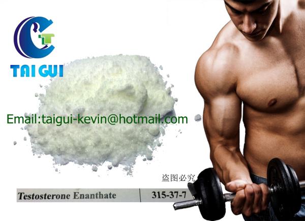 Safe Anabolic Testosterone Enanthate / Test Enan white crystalline powder CAS 315-37-7