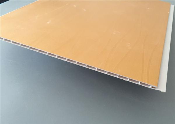 As anti bactérias Waterproof o material a favor do meio ambiente dos painéis de parede da garagem