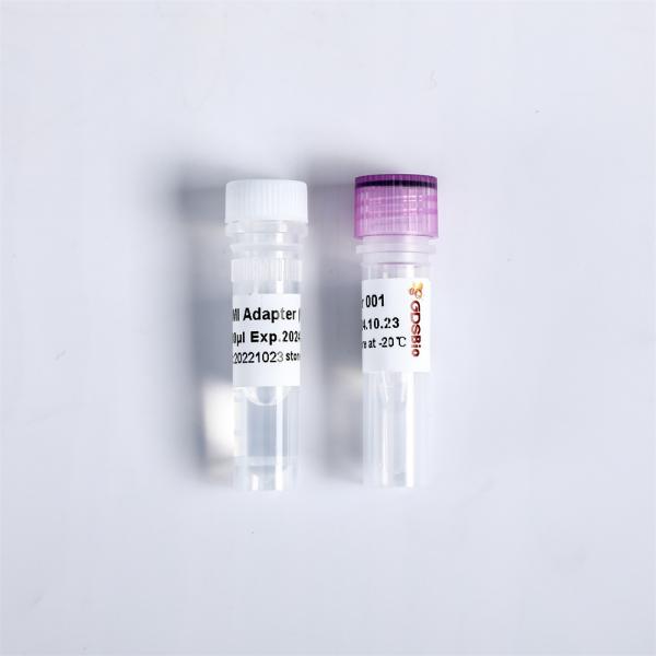 Праймеры переходников конструкции UDI UMI библиотеки PCR NGS для Illumina K003-A K003-B K003-C K003-D