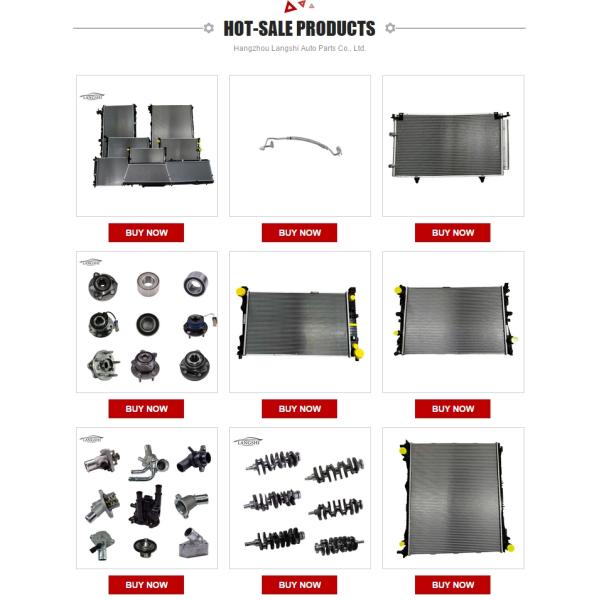 2018-2020 Monture de transmission arrière gauche pour Chevrolet Cavalier et Buick EXCELLE GX
