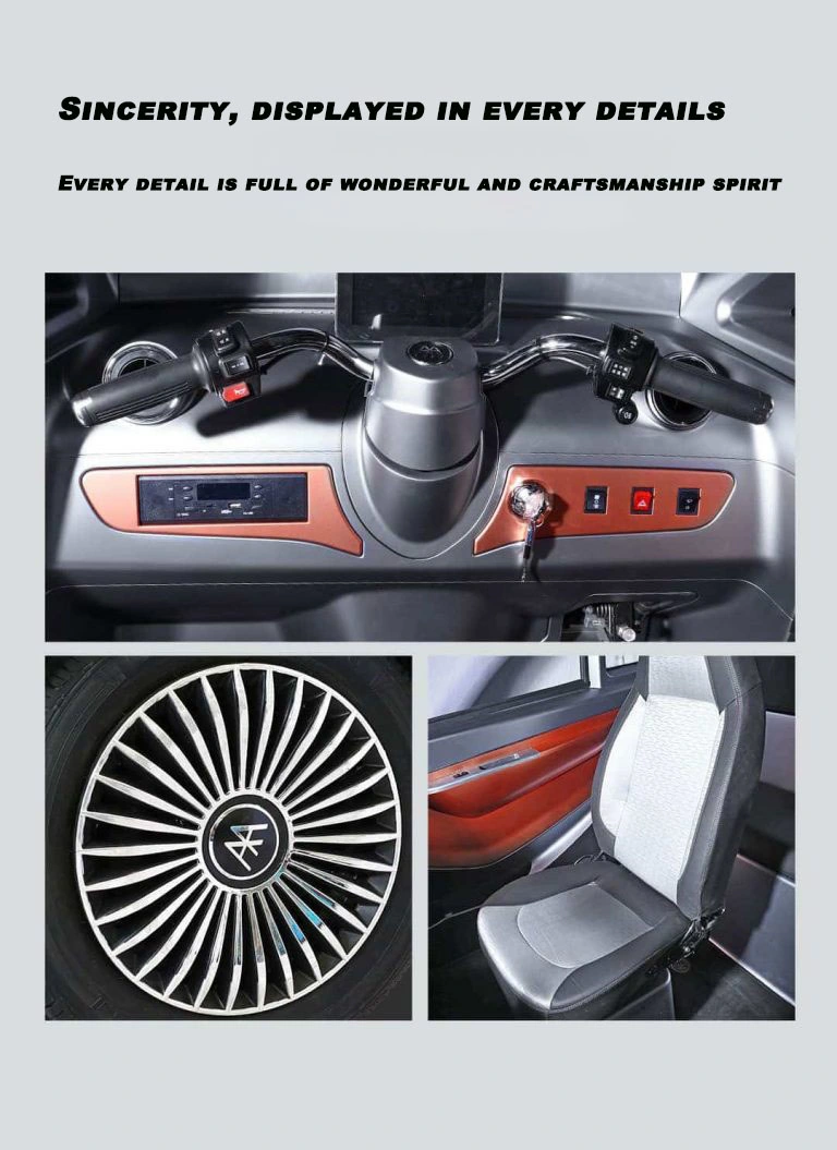 Raysince latest model electric mini car EEC certificated 60V 3 wheel electric bicycle for hot sale