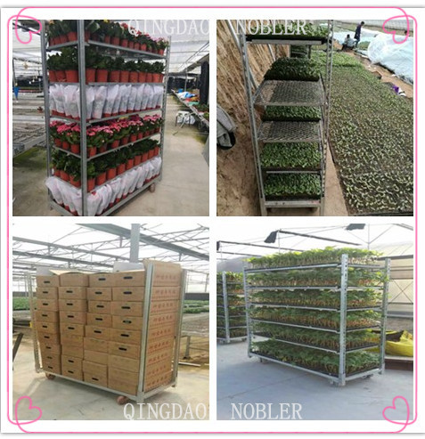 100kg/Shelf Coated Galvanized Danish Flower Trolley