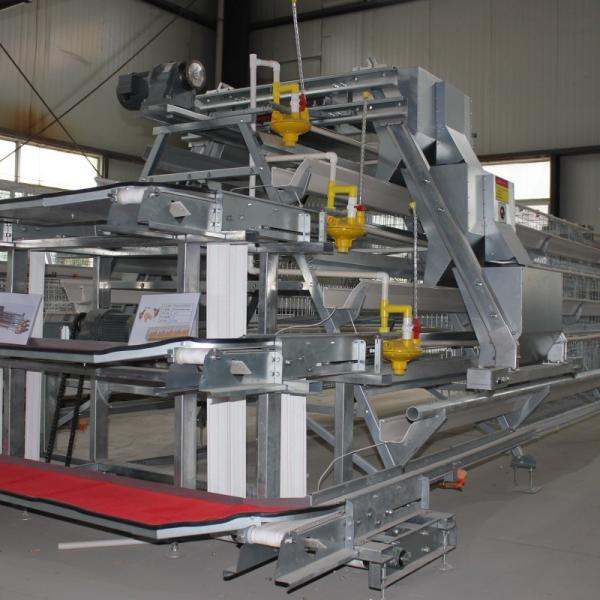 Durable Layer Chicken Cage with 3 or 4 Tiers for Space Utilization and Long Lasting Corrosion Resistance Suitable for Poultry Farms
