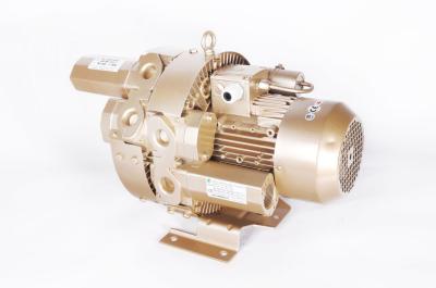 Ring 1.5kw Side Channel Vacuum Pump For Central Vacuum Systems 2 Stage GHBG 002 12 2R3