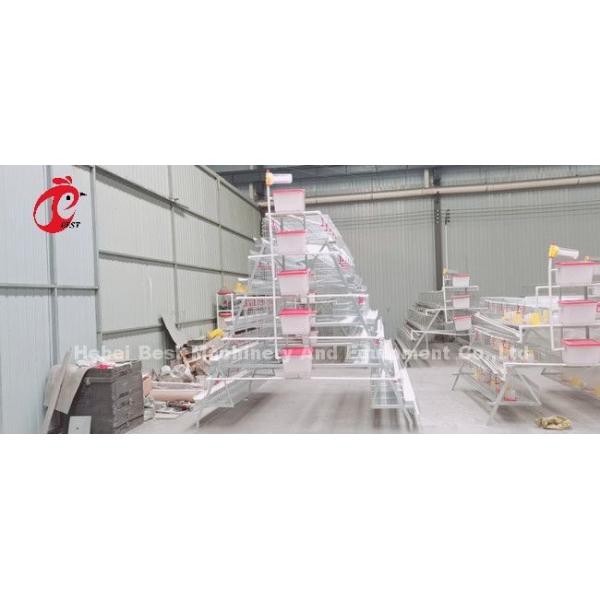 Deluxe 120 Birds Poultry Battery Cage System 5 Cells Galvanized Doris