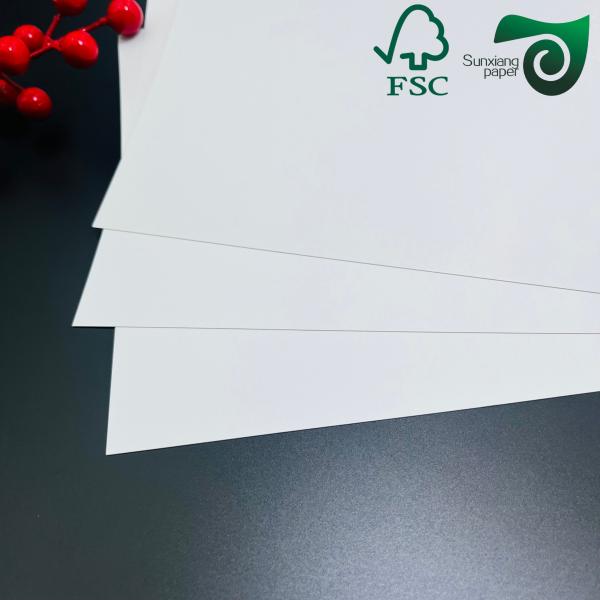 170gsm 190gsm C1S Ivory SBS Paper Board For Garment Hangtags 30 40 Inch