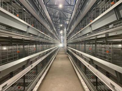 Steel Poultry Q235 8 Tiers H Type Layer Chicken Cage