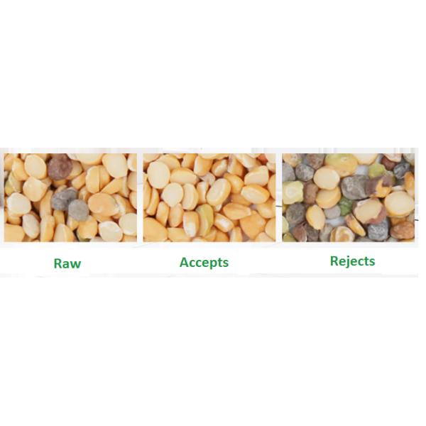 6 Chutes Corn Color Sorter Máquina de triagem de cores de caju 3,5KW