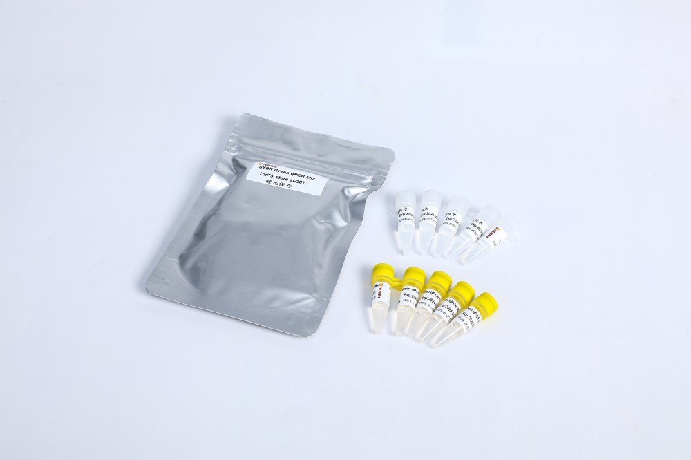SYBR Зелёный qPCR смешивать высокий ROX+ для ABI ДНК в режиме реального времени PCR 5 мл