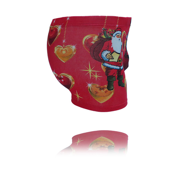 Men's underwear boxers Cotton Cueca Sexy men Boxer Shorts Men Underpants men's underwear b