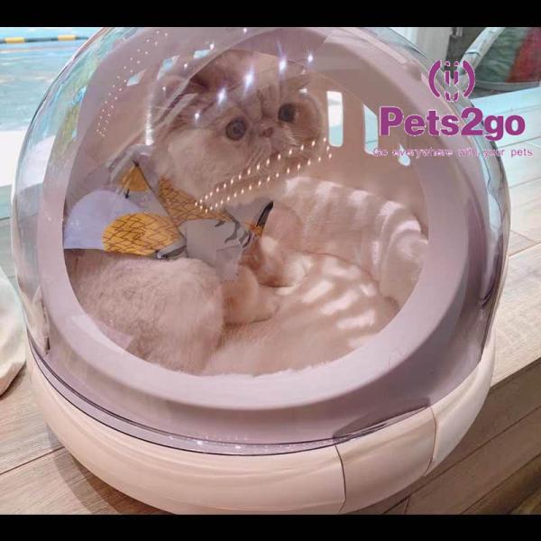 Jaula aprobada línea aérea del portador del animal doméstico del PVC 1.70KG los 36X40CM