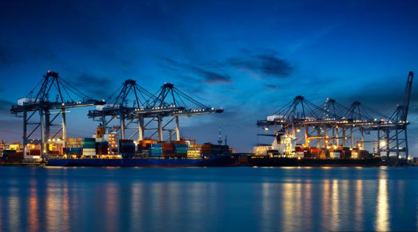 DDU DDP EXW Sea Freight Shipping Professional Ocean Freight Canada
