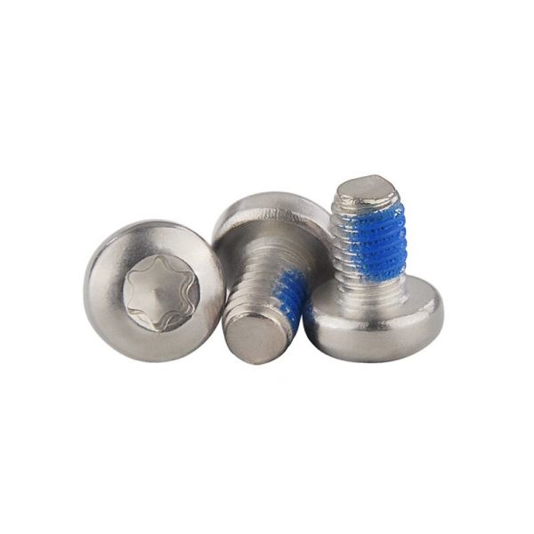 Pan head Torx slot full threaded nylon glue patched machine screws
