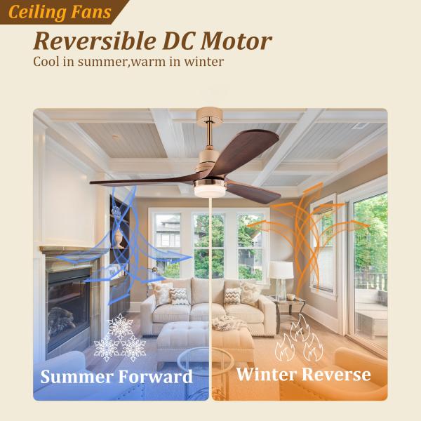 Ventilateur de plafond en feuilles de bois massif à commande à distance Ventilateur de plafond avec lumière