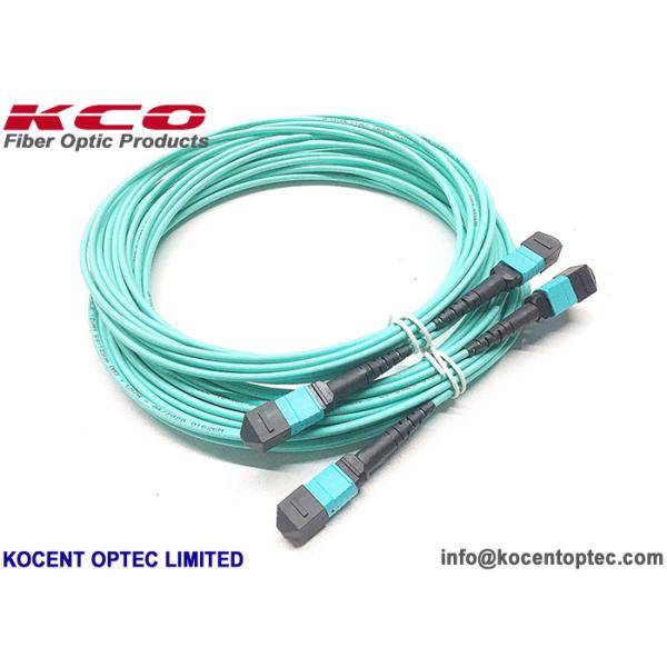 MPO-12 12fo 24fo MM OM3 OM4 50/125 MPO MTP Optical Fibre Trunk Cable