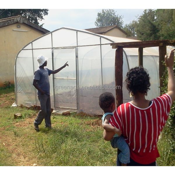 Agricultural Single-Span Small PE Polytunnel Greenhouse for Outdoor Gardens with Natural Tunnel Design