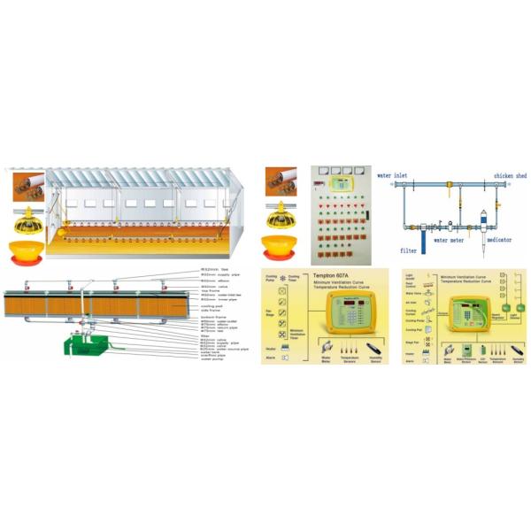 Diseño prefabricado Capa automática de huevo Granja avícola Batería Casita de pollo Muestras de gallinas Estructura de acero Almacén Equipo agrícola Granero de vacas Granero
